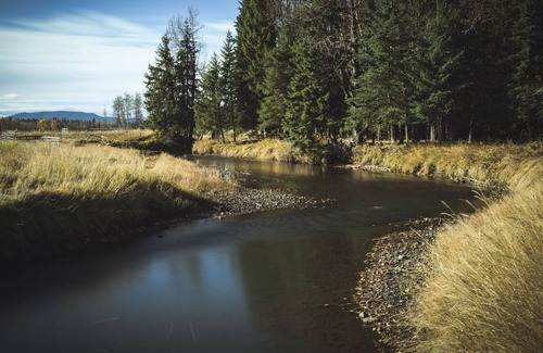 Caroline Maison | Wilderness Geo Dome in Boundary RV Park