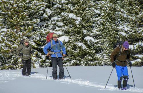 Le Roy Maison | Wilderness Retreat and Cross-Country Ski Center!