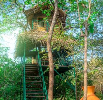 Nissankamallapura Cabine | Wildescape Polonnaruwa