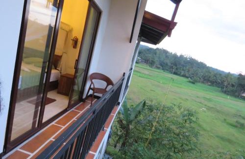 Kotapola Hôtel | Wildlife Kingdom - Deniyaya Sinharaja