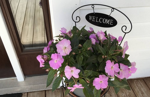Williston North Maison | Williston Village INN- Suite r. pour 4 personnes