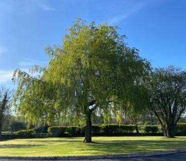 Cashel Maison | Willow Lodge Cashel- Rock View-Sleeps from 2 up to 8 guests
