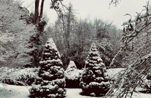 Mount Macedon Cottage | Willowglade Retreat and Gardens in Mount Macedon