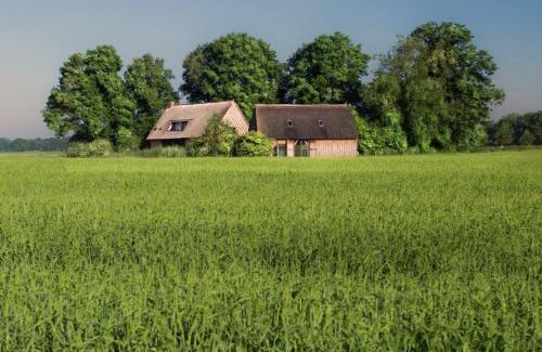 Nieuw-Schoonebeek Maison | Wilmsboo