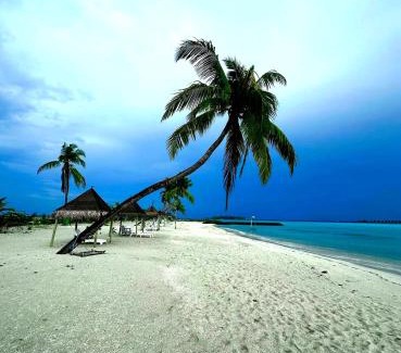 Guraidhoo Maison | Wind Breeze Sunset View Inn