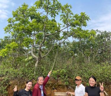 Bao Loc Maison | WindHill Homestay Bảo Lộc - Căn Villas Nhà Gỗ