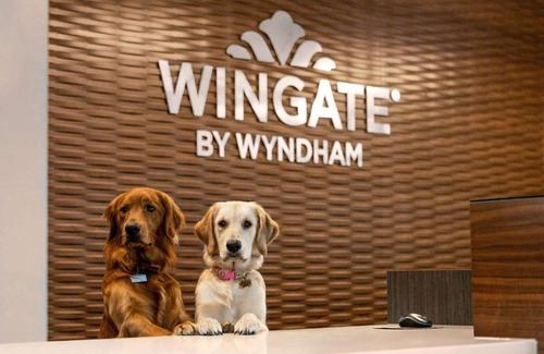 Downtown Hôtel | Wingate by Wyndham Lethbridge