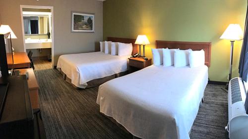 Mayfield Hôtel | Wingfield Inn