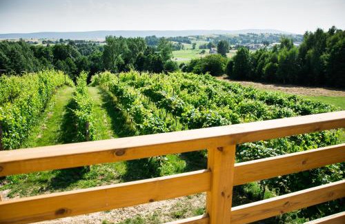 Tarczek Maison | Winnica Nad Źródłem - Domki w winnicy z kominkami i tężniami