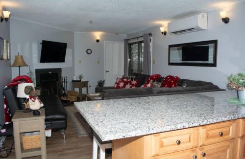 Ghent Appartement | Winterplace Condos - Ski In Ski Out! E101