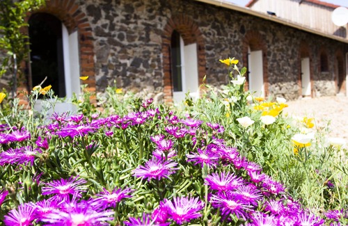 Adriers Cottage | Wisdom Gites - Maison de vacances avec vue sur la prairie, avec piscine, jardin et connexion Wi-Fi gratuite