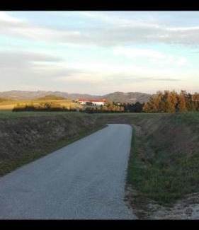 Pregarten Appartement | Wohnen im Grünen
