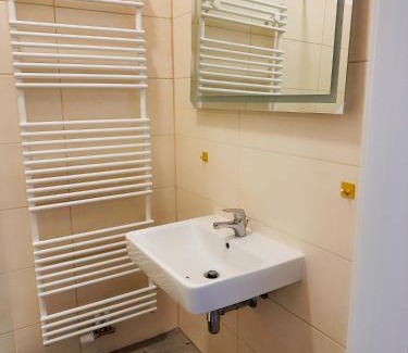 Mittelstadt Appartement | Wohngut-City Apt. 1 Zi. 1 DB + 1 EZ 34 qm mit Parkplatz
