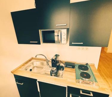 Mittelstadt Appartement | Wohngut-City Apt. 1 Zi. 1 DB + 1 EZ 34 qm mit Parkplatz