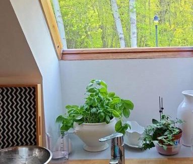 Devin Appartement | Wohnung am Meer mit Garten