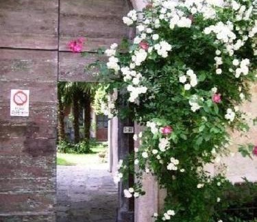 Miasino Appartement | Wohnung Caprifoglio In Miasino