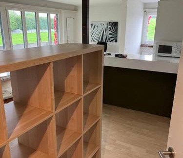 Meilen District Appartement | Wohnung Felix