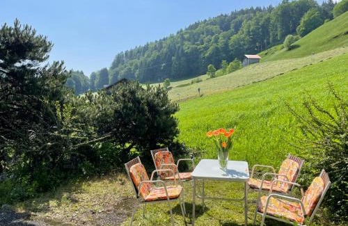 Pfaefers Dorf Appartement | Wohnung in Bergchalet