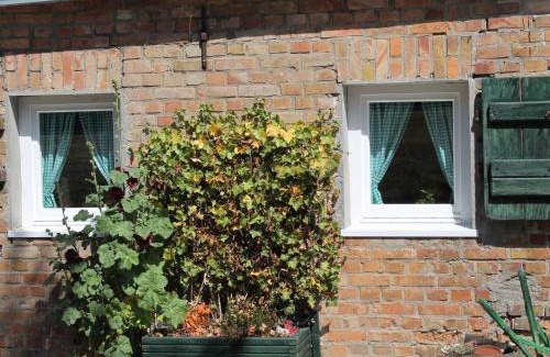 Damgarten Appartement | Wohnung in Ribnitz Damgarten
