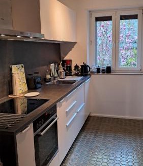 Kaiserslautern Appartement | Wohnung Medicus, 3 ZKB, Balkon, Garten, nähe Stadtpark, ruhig