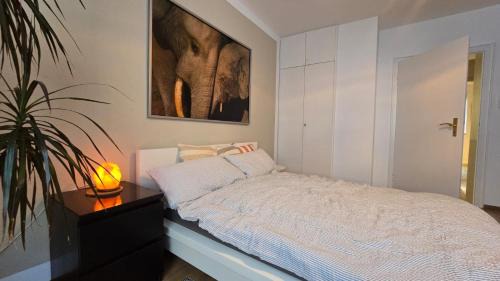 Kaiserslautern Appartement | Wohnung Medicus, 3 ZKB, Balkon, Garten, nähe Stadtpark, ruhig