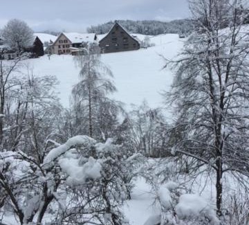 Herisau Appartement | Wohnung Säntisblick mit Parkplatz