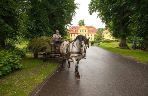 Luehburg Appartement | Wohnung Schlosshöhe - Schloss Lühburg