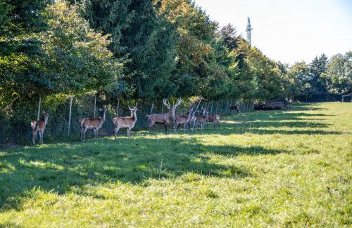 Freilassing Appartement | Wohnung Untersbergblick