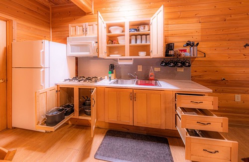 Christopher Creek Cabine | Wolves Den Cabin,WIFI, game room - Backs Tonto Forest, stocked kitchen, heat AC