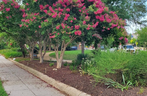 Petworth Appartement | Wonderful 2-Bedroom Apartment in Great Location in Washington DC