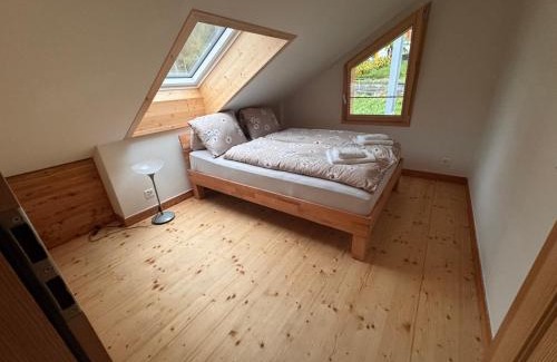 Oberried am Brienzersee Appartement | Wonderful Apartment with Lake View