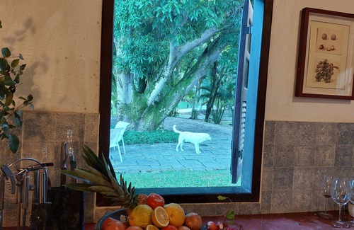 Cachoeiras de Macacu Maison | Wonderful Country House with Beautiful Lake, Swimming Pool and Wi-Fi