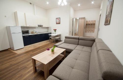 Uzhhorod Appartement | Wonderful flat on city center (Mukachivska 4/14)