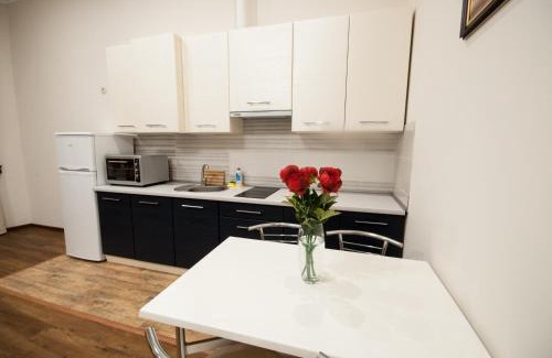 Uzhhorod Appartement | Wonderful flat on city center (Mukachivska 4/14)