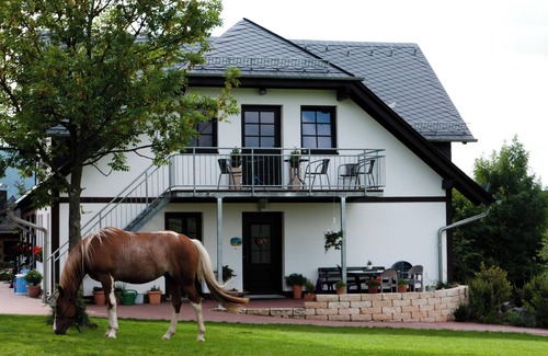 Eibelshausen Appartement | Magnifique randonnée le long du Rothaarsteig directement de la ferme de Meggi