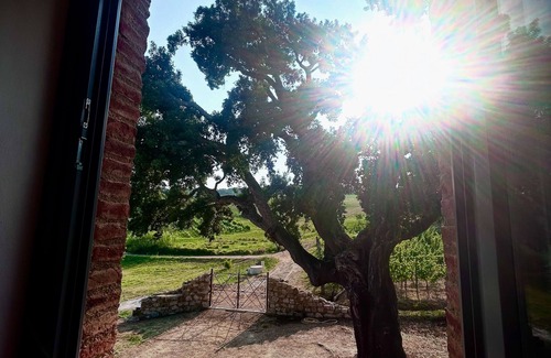 Crocina Villa | Magnifique villa de luxe à Val d'Orcia, près de Montalcino