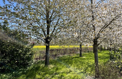 Splietsdorf Maison | Merveilleuse maison de vacances privée pour 4 personnes avec WIFI, TV, terrasse et animaux admis