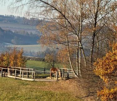 Slapy Maison | Wonderful Tiny house Hootka with fabulous view near Semily