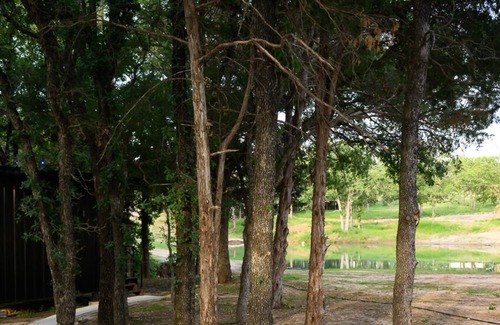 Alvord Cabine | Romantic cabin for 2 nestled under the oaks of LBJ Grasslands