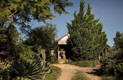 Barrydale Appartement | Wooden Cabin Barrydale