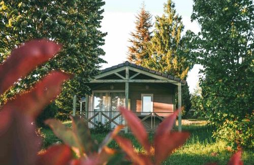 Beynat Chalet De Ski | Wooden chalet with covered terrace on the edge of a lake
