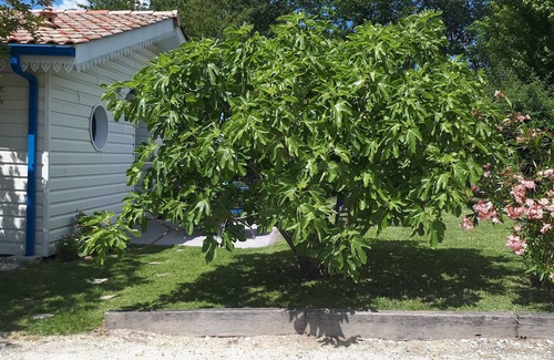 Salleboeuf Cottage | Maison Ossature Bois Gironde Proche Bordeaux ,climatisée et au calme
