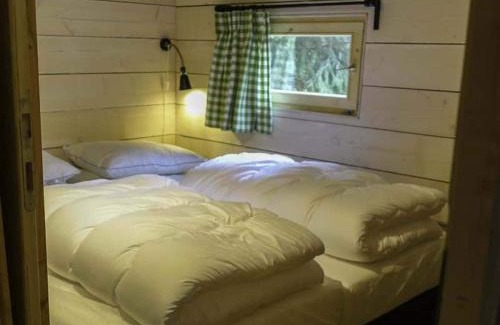 Ruinen Chalet De Ski | Wooden lodge near three national parks