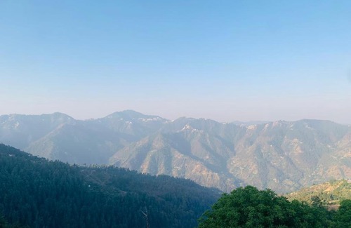 Shimla Maison | Woodista Villa