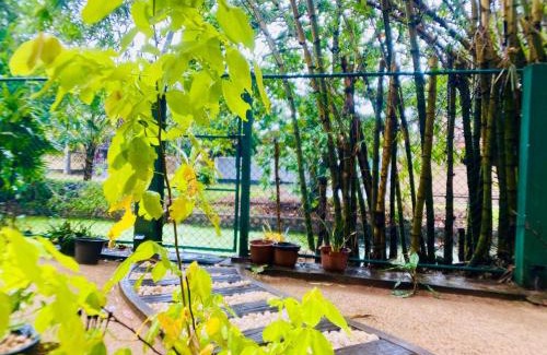 Negombo Hôtel | Woodnest Villa Rustic
