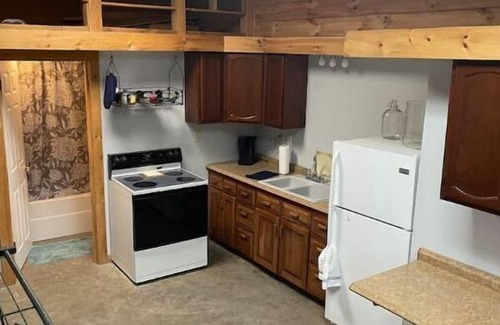 Lewis County Cabine | Woofpackshack #4