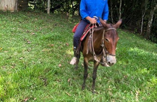 Cimitarra Maison | Working126 hectares (roughly 300 acres) cattle ranch/finca provided with horses.