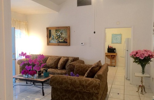 Reddick Appartement | APPARTEMENT PRIVÉ 1BR / 1BA MEUBLÉ, ANIMAUX OK, WIFI, CÂBLE, BLANCHISSERIE, LUMINEUX SPACIEUX