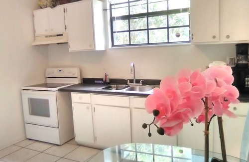 Reddick Appartement | APPARTEMENT PRIVÉ 1BR / 1BA MEUBLÉ, ANIMAUX OK, WIFI, CÂBLE, BLANCHISSERIE, LUMINEUX SPACIEUX