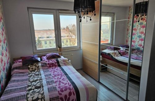 Psie Pole Appartement | Wrocławskie Hawaje self check 24h